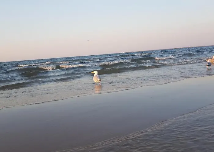 アパート Baltic Dream